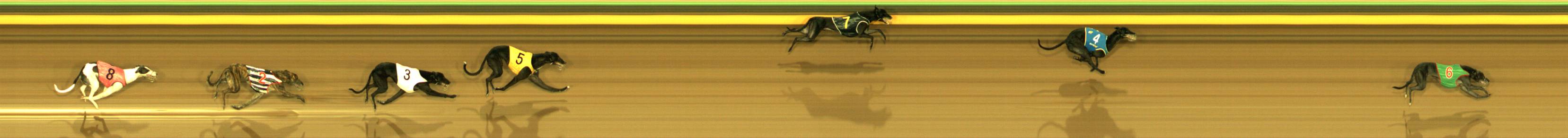 Race result finish photo